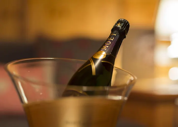 Otel Alpenlove - Adult